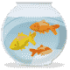 Fish & Aquariums
