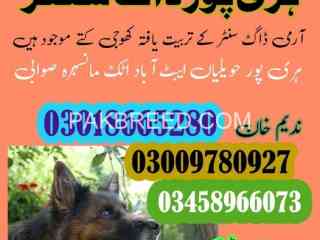 army-dog-centre-haripur