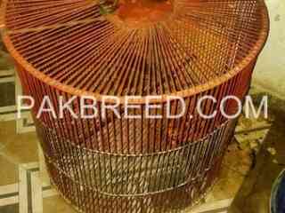 parrot-cage-for-sale