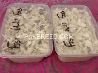 homemade-cat-dog-food-is-avaiable-in-karachi