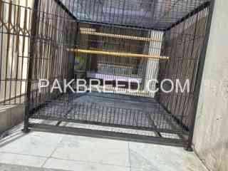 iron-cage-for-sale-in-faisalabad