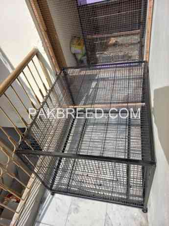 iron-cage-for-sale-in-faisalabad-big-1