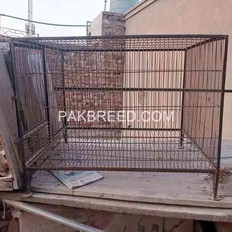 raw-cage-for-sale-in-multan-big-1