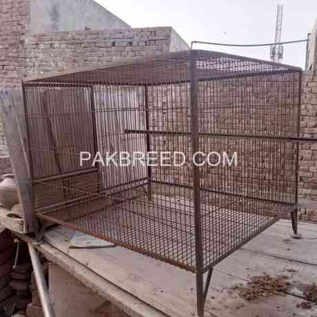 raw-cage-for-sale-in-multan-big-0