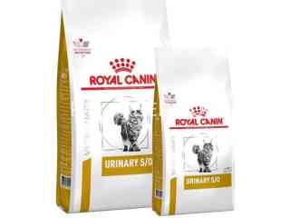 royal-canin-cat-food