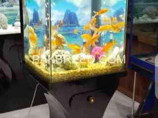 wooden-aquarium-for-sale