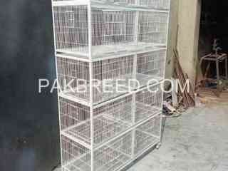 all-kind-of-cages-are-available-on-order-in-faisalabad