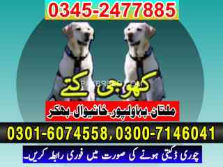 army-dog-center-multan