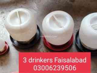 4-drinkers-and-4-feeders-or-1-tray-for-sale-in-faisalabad