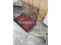 215-folding-cage-available-in-lahore-small-2