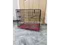 215-folding-cage-available-in-lahore-small-1