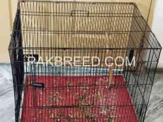 215-folding-cage-available-in-lahore