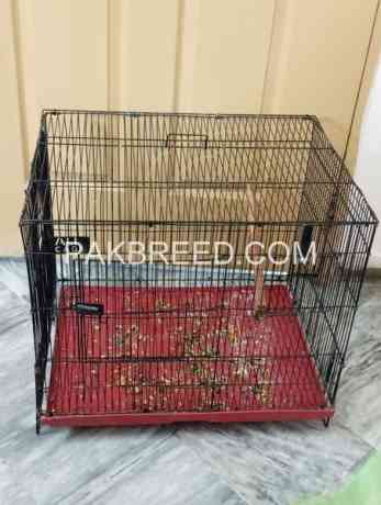 215-folding-cage-available-in-lahore-big-0