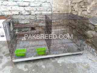 2-portion-cage-available-in-swat