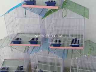 cage-new-stock-2020