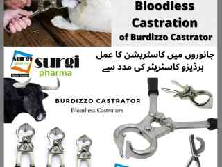 veterinary-farming-tools