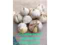 garlic-hg1-garlic-pakistan-lehson-g1-lahson-narc-for-sale-and-buy-price-small-1