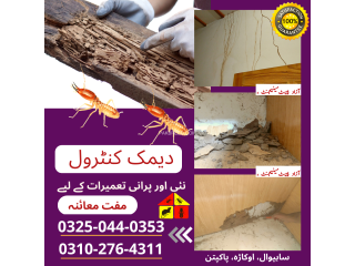 Termite | Deemak | Pest Control Service in Sahiwal