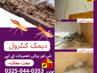 termite-deemak-pest-control-service-in-sahiwal