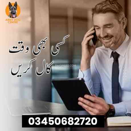 dog-center-bannu-03338453837-big-0