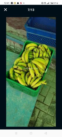fruits-and-vegetables-supplies-big-4