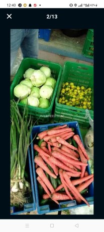 fruits-and-vegetables-supplies-big-1