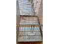 breeding-cage-for-raw-parrot-small-0