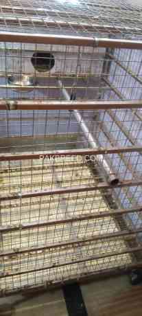 cage-for-gray-and-macow-parrot-big-4