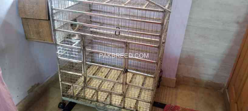 cage-for-gray-and-macow-parrot-big-0