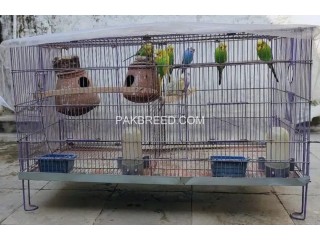 CAGE / PINJRA WITH 8 PARROT'S 2 DOLI & 2 WATER BOTTLE'S