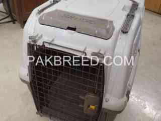 pet-cage-for-sale-in-karachi