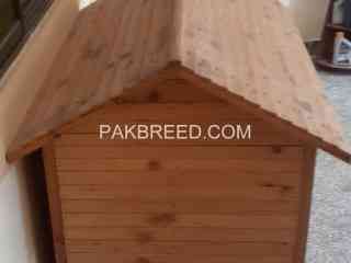 dog-house-for-sale